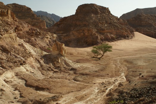 The Sinai Peninsula